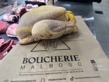 Nos prestations sur le secteur de Alco 34080 Montpellier